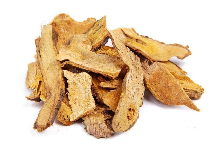 polygonum cuspidatum root extract resveratrol